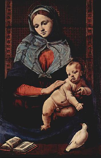 Piero di Cosimo Taubenmadonna oil painting image
